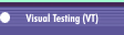 Visual Testing (VT)
