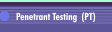 Penetrant Testing  (PT)